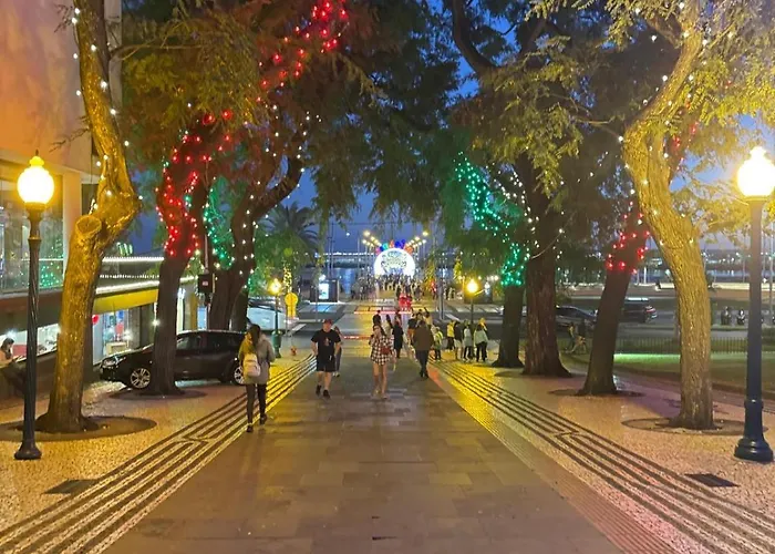 Center Iii Lejlighed