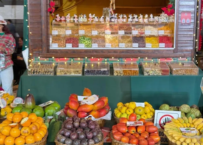 Lejlighed Center Iii Funchal (Madeira)